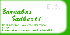 barnabas vadkerti business card